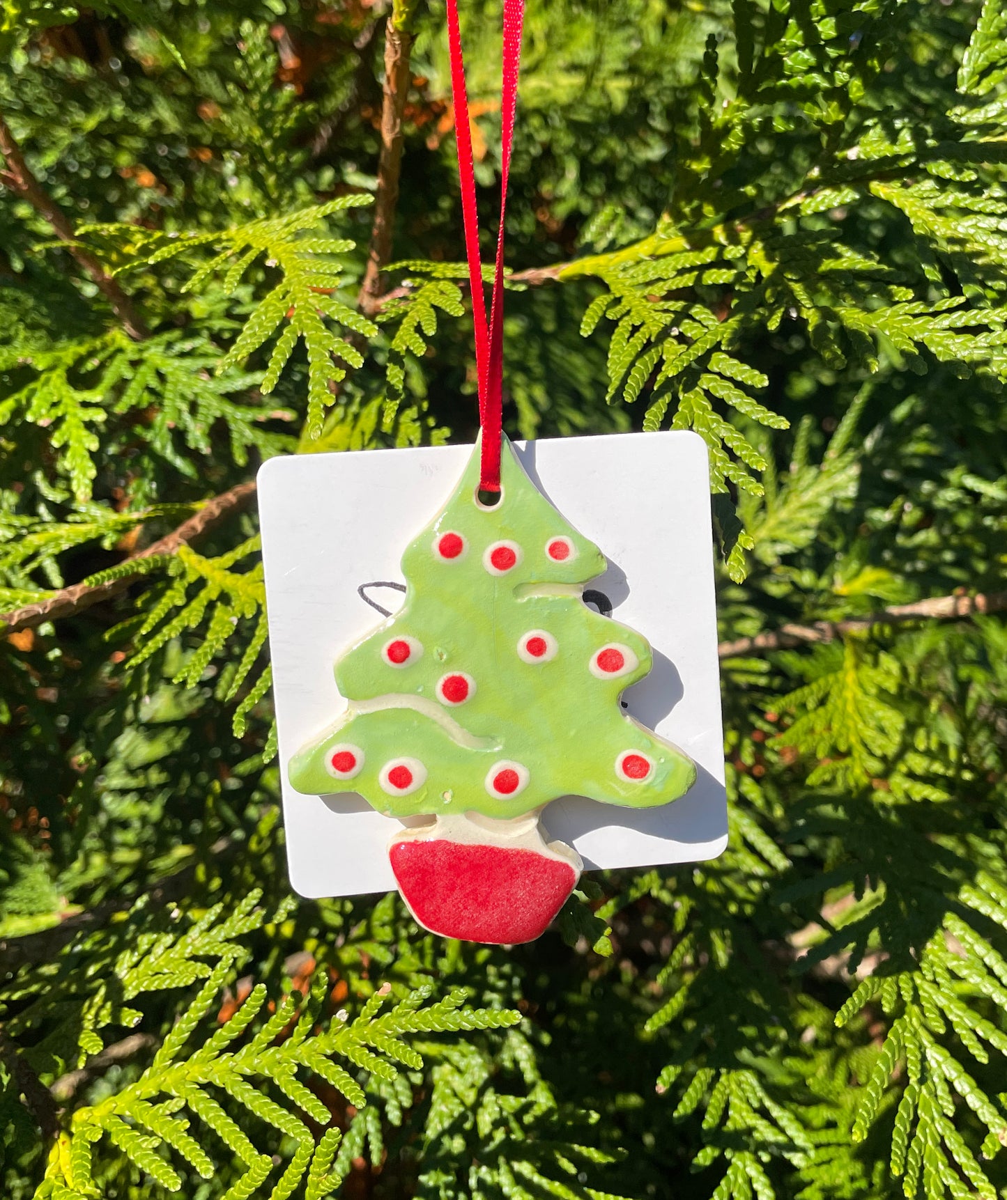 Holiday Ornaments - Sugar Cookies for Keeps