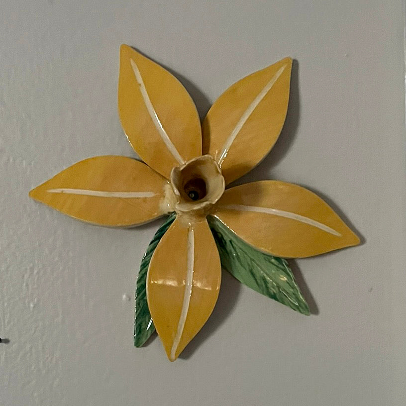 Wall Flowers - Daffodil