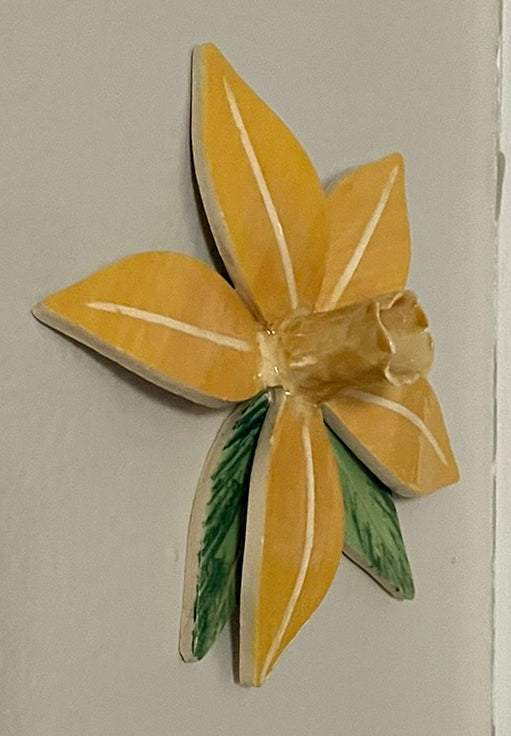Wall Flowers - Daffodil