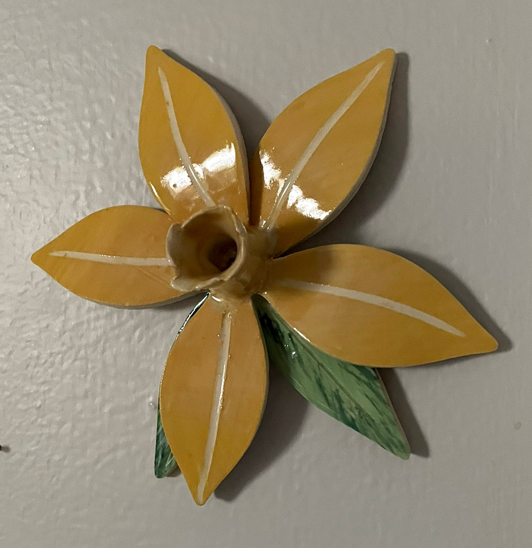 Wall Flowers - Daffodil